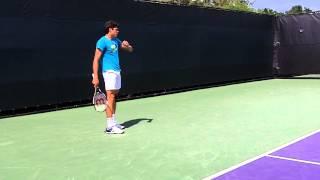 Milos Raonic Serve and Return