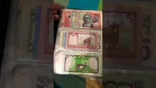 My Collection #shorts #dhandanyoliwala #viral #currency