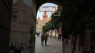 Sevilla #sevilla #sevillahoy #sevillage #travel #andalucia