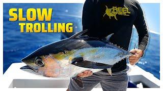 Trolling Fishing For Beginners