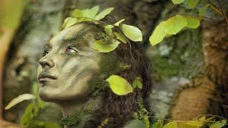 Relaxing Celtic Music: Beautiful Music, Relaxing Music, Flute Music, Meditation Music 91