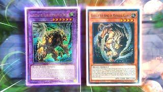 THE YU-GI-OH TOP-TIER NEW YUGI'S CHIMERA FUSION DECK! (New Illusion Fusion Deck + 7 Negates Combo)