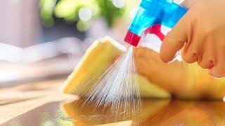 Homegrown | How to Safely Sanitize Surfaces at Home