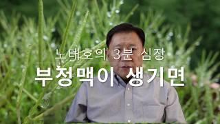 노태호의 3분 심장 - 부정맥(arrhythmia)이 생기면