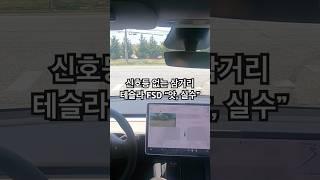 [일상FSD] 멈칫… 테슬라 FSD, 사람처럼 물러섰다.. 헷갈리는 교차로에서… FSD 깜짝 선택 #modely