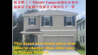 惊喜中！Tampa成熟社区稀罕崭新大别墅价格如此美丽出售中。Great opportunities to have brand new cheaper home in Temple Terrace