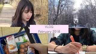  英国大学生活 | 买日常用品 + 准备考试 | Daily VLOG