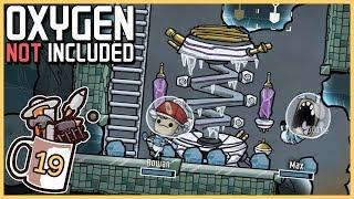 Anti Entropy Thermo-Nullifier | Oxygen Not Included #19 - Let's Play / Gameplay