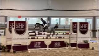 Chacco-white - First show 5yo