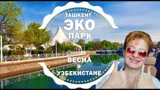 Узбекистан Ташкент сегодня ЭКО ПАРКЦ-1 бывший старый Зоопарк ECO PARK / UZBEKISTAN Tashkent 2024