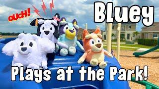  Bluey and Bingo Play at the Park and Mackenzie has a BIG Fall 