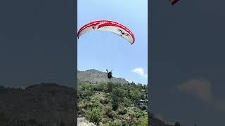 #paragliding #sport #reactionparagliding #viralshort #tranding #explorepage #mountains