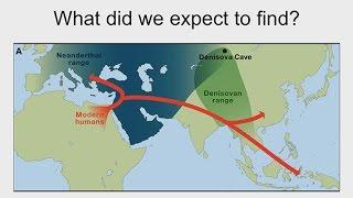 CARTA: DNA – Neandertal and Denisovan Genomes; Neandertal Genes in Humans; Neandertal Interbreeding