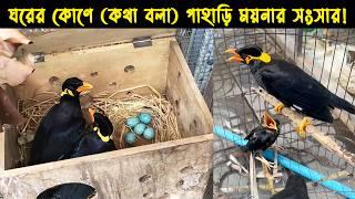 কথা বলা পাহাড়ি ময়না পাখি দম্পতির জীবন কাহিনী  | Bird Story- 163 | The life story of Hill Myna Bird