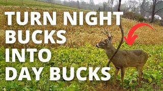 Turn Night Time Summer Bucks Into Day Time Fall Bucks