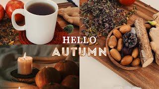 Welcoming Autumn  | Cosy Rainy Days at Home | Cooking, Reading & Crocheting | Silent vlog #30