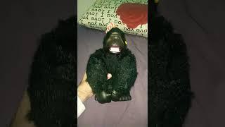 Magical Murphy gorilla #toy #gorilla #shorts