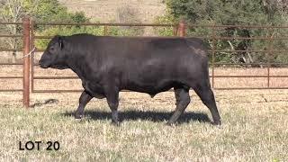 Lot 20, Worthington Quantum 132