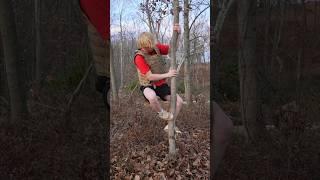 How Hard Is It To Chop Down A Tree?