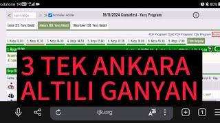 16 Kasım 2024 Cumartesi Ankara at yarışı tahminleri Ankara altılı ganyan tahminleri | Oğulcan Karaca