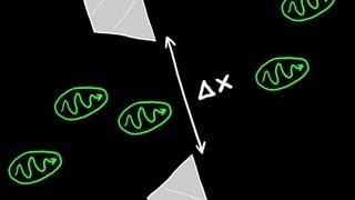 Heisenberg's Uncertainty Principle Explained