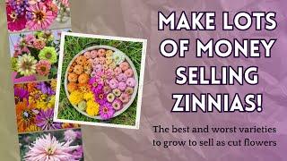 Make MONEY growing zinnias! The best and worst varieties to get bucks for your blooms