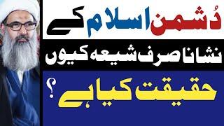 Dushman Islam Kay Nishana Sirf Shia Kyun | Allama Anwar Ali Najafi