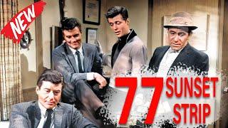 77 Sunset Strip Full Episodes 2024  Best Private Detective Drama Series  Popular American Tv Show