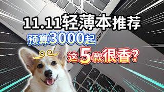 【11.11轻薄本推荐】预算3000起，这5款很香？