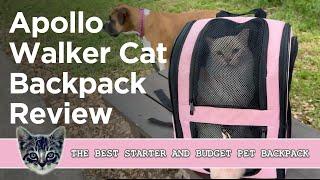 Apollo Walker Pet Carrier Cat Backpack Review: The Best Budget Starter Cat Backpack