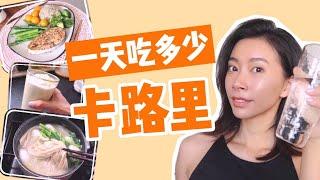 我一天都吃了什么？都多少卡路里？分享我的一日三餐健康食谱！【周六野Zoey】