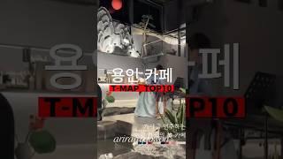용인 카페 티맵 랭킹 탑10