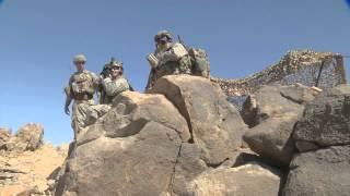 NTC JTAC