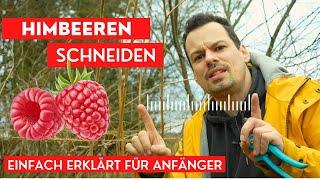 Himbeeren schneiden schnell & einfach erklärt für Anfänger