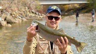 AMAZING TROUT FISHING 