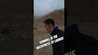 #trailrunning #running #runshorts #mountains #lehladakh #himalayas #run