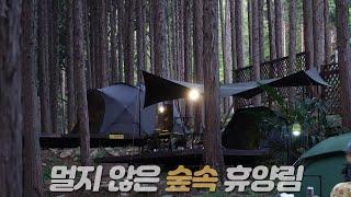 [캠핑브이로그]  묻혔다 숲속에, 사람소리 들리지 않는 곳, 내 목소리 마저 묻혔다. #에이웍스 댓글 이벤트