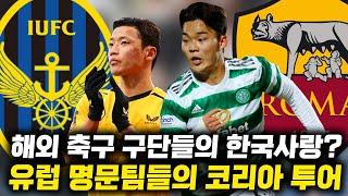 울버햄튼 셀틱FC AS로마 코리아 투어? 해외 축구팀들의 한국 사랑