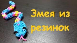 Фигурки из резинок Змея из резинок Rainbow loom bands