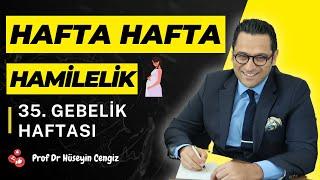 35 HAFTA GEBELİK (hafta hafta gebelik, gebeliğin 35.haftasında hem bebekte hem annede neler oluyor?)