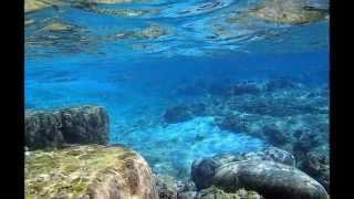 Bingo Miki & Inner Galaxy Ochestra- Back to The Sea （Prologue) 海に還る(プロローグ）