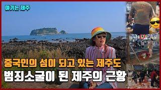 중국인의 섬이 되고 있는 제주도 "범죄소굴이 된 제주의 근황" [여기는 제주도]