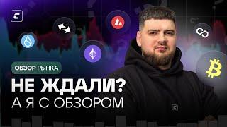 Не ждали? а я с обзором! | Обзор 11.11.2024