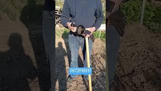 Чудо лопата 3в1+лункокоп+плоскорез
