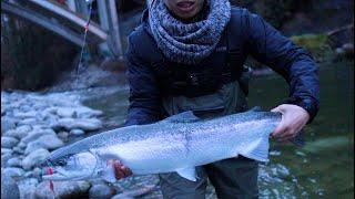 BEAUTIFUL STEELHEAD LANDED! Fishing on Capilano River | EP2