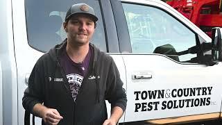 Welcome To Town and Country Pest Solutions!