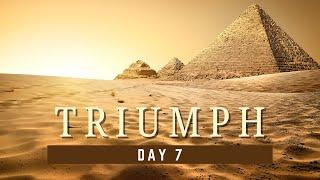 Triumph: Day 7