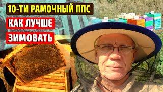 Улей ппс 10 ти рамочный Перевозка пчел Кочевая пасека