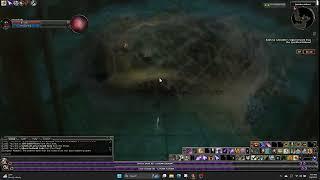 Quickfoot Hideout - Gnome Life - DDO