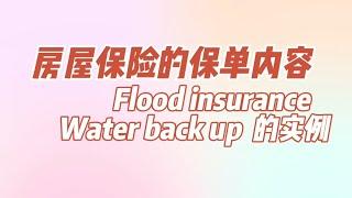 房屋保险的保单内容 Flood insurance  Water back up  的实例